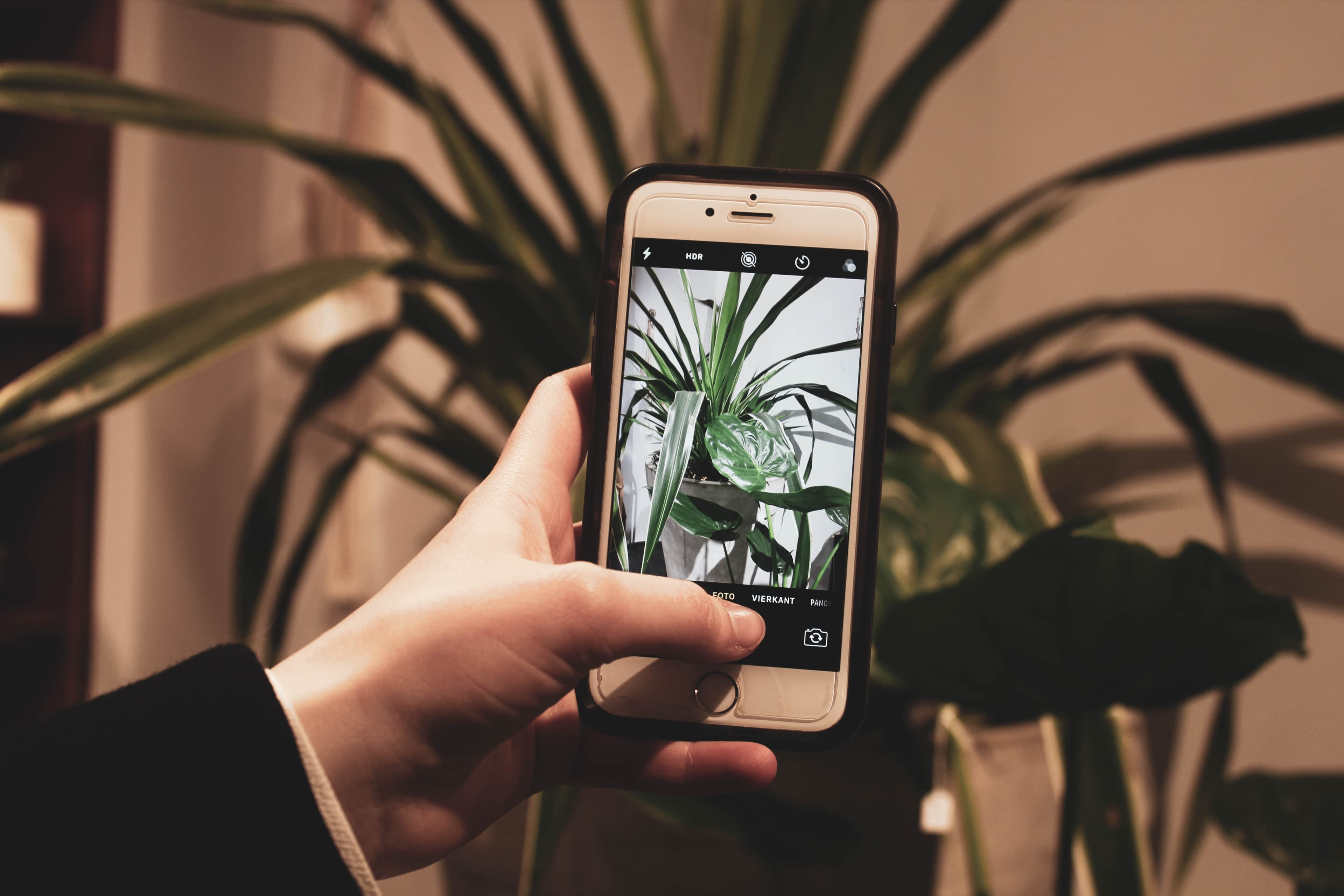 Person taking a photo with their phone